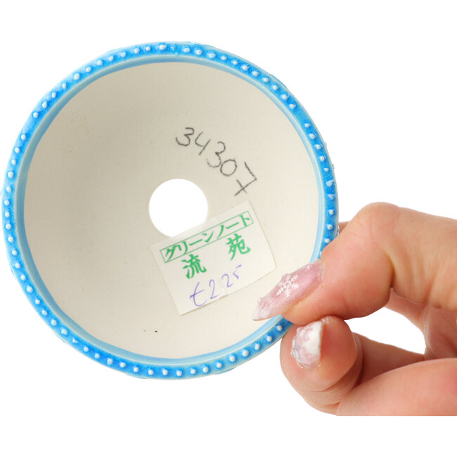 Maceta para bonsái redonda azul y blanca de Tou Ai - 75 x 75 x 30 mm