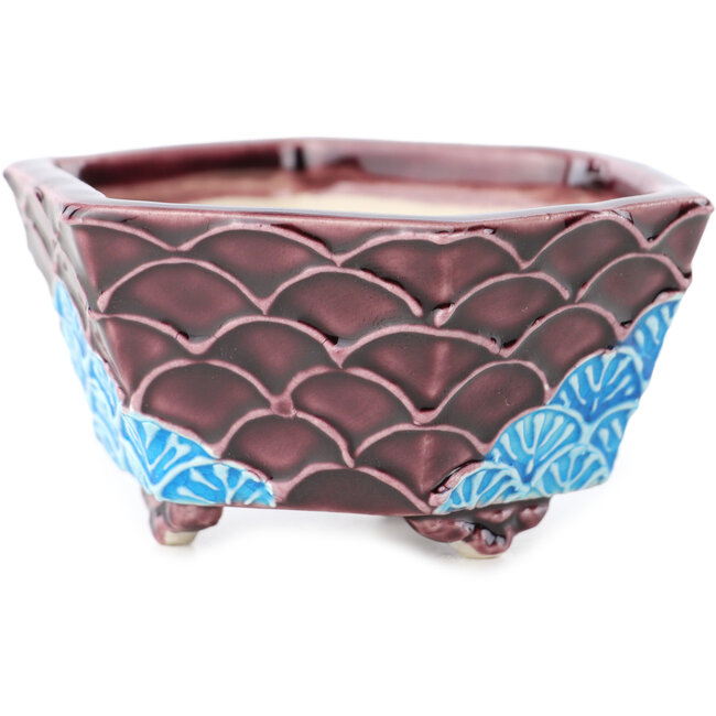 Hexagonal red and blue bonsai pot by Tou Ai - 75 x 75 x 35 mm