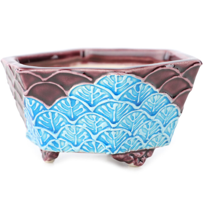 Pot à bonsaï hexagonal rouge et bleu de Tou Ai - 75 x 75 x 35 mm