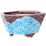 Pot à bonsaï hexagonal rouge et bleu de Tou Ai - 75 x 75 x 35 mm