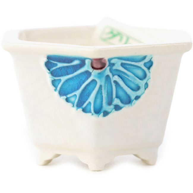 Pot à bonsaï hexagonal blanc et bleu de Tou Ai - 45 x 45 x 25 mm