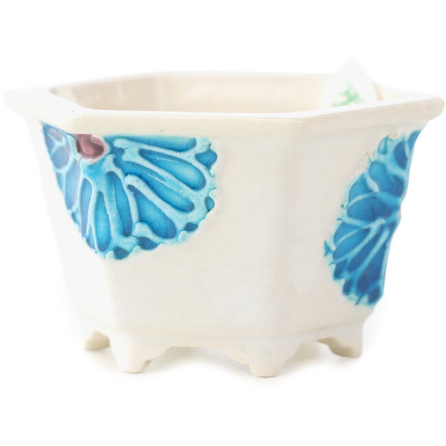 Vaso bonsai esagonale bianco e blu di Tou Ai - 45 x 45 x 25 mm