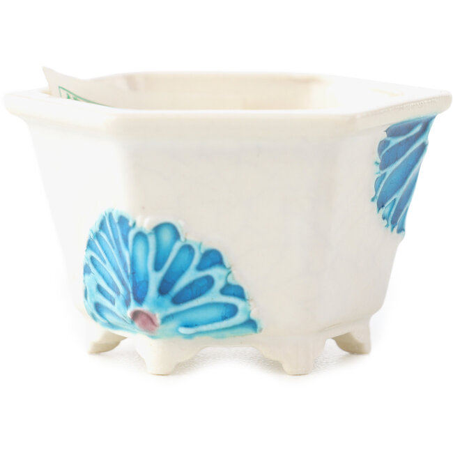 Hexagonal white and blue bonsai pot by Tou Ai - 45 x 45 x 25 mm
