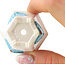 Maceta hexagonal para bonsái de color blanco y azul de Tou Ai - 45 x 45 x 25 mm