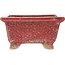 Rectangular red bonsai pot by Koto Chukan - 125 x 107 x 67 mm