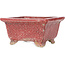 Rectangular red bonsai pot by Koto Chukan - 125 x 107 x 67 mm