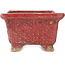 Rectangular red bonsai pot by Koto Chukan - 125 x 107 x 67 mm