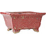 Rectangular red bonsai pot by Koto Chukan - 125 x 107 x 67 mm