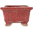 Rectangular red bonsai pot by Koto Chukan - 125 x 107 x 67 mm