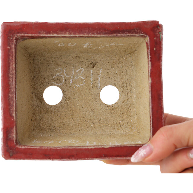 Pot à bonsaï rectangulaire rouge par Koto Chukan - 125 x 107 x 67 mm