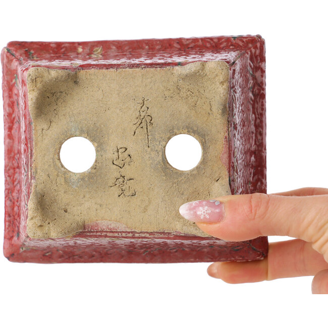 Rectangular red bonsai pot by Koto Chukan - 125 x 107 x 67 mm