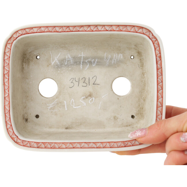 Pot à bonsaï rectangulaire blanc et rouge par Joshu Katsuyama - 152 x 120 x 40 mm