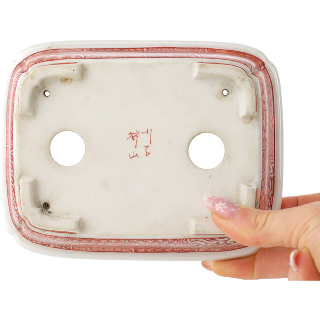 Pot à bonsaï rectangulaire blanc et rouge par Joshu Katsuyama - 152 x 120 x 40 mm