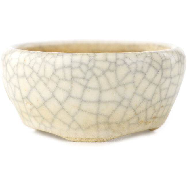 Runder weißer Craquelé-Bonsaitopf von Biko - 60 x 60 x 30 mm