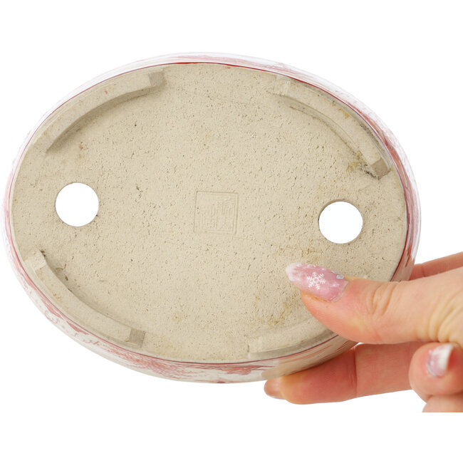 Pot à bonsaï ovale blanc et rouge par Joshu Katsuyama - 132 x 105 x 30 mm