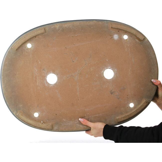 Pot à bonsaï ovale bleu - 670 x 480 x 70 mm