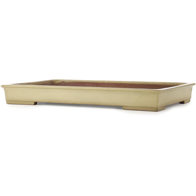 Vaso bonsai rettangolare beige di Kakuzan - 610 x 380 x 70 mm
