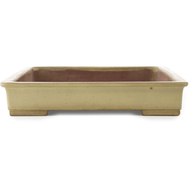 Vaso bonsai rettangolare beige di Kakuzan - 610 x 380 x 70 mm