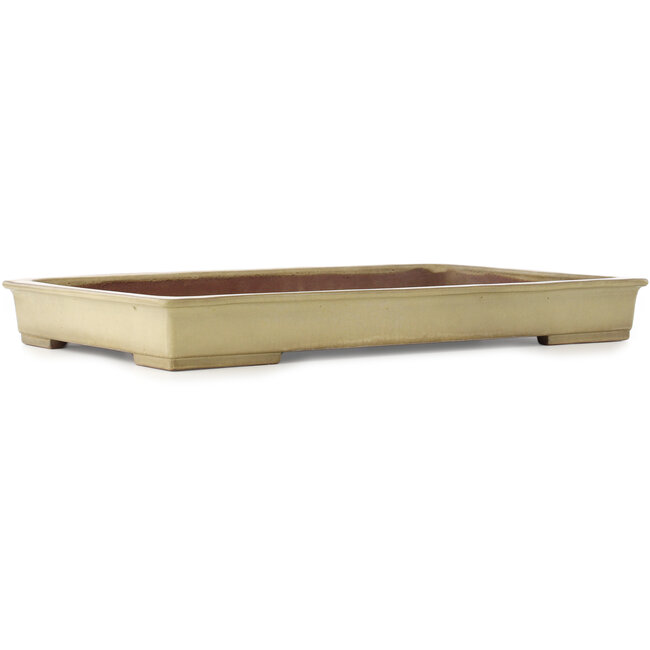 Rechthoekige beige bonsai pot van Kakuzan - 610 x 380 x 70 mm