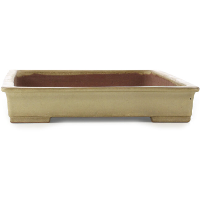 Vaso bonsai rettangolare beige di Kakuzan - 610 x 380 x 70 mm