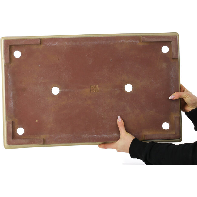 Rectangular beige bonsai pot by Kakuzan - 610 x 380 x 70 mm