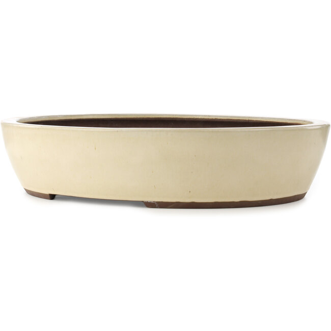 Vaso bonsai ovale bianco sporco di Yamaaki - 535 x 460 x 115 mm