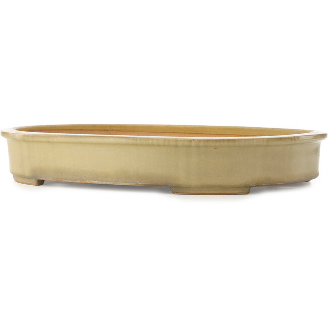 Pot à bonsaï ovale beige de Reiho - 510 x 395 x 75 mm