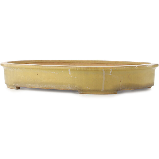 Pot à bonsaï ovale beige de Reiho - 510 x 395 x 75 mm