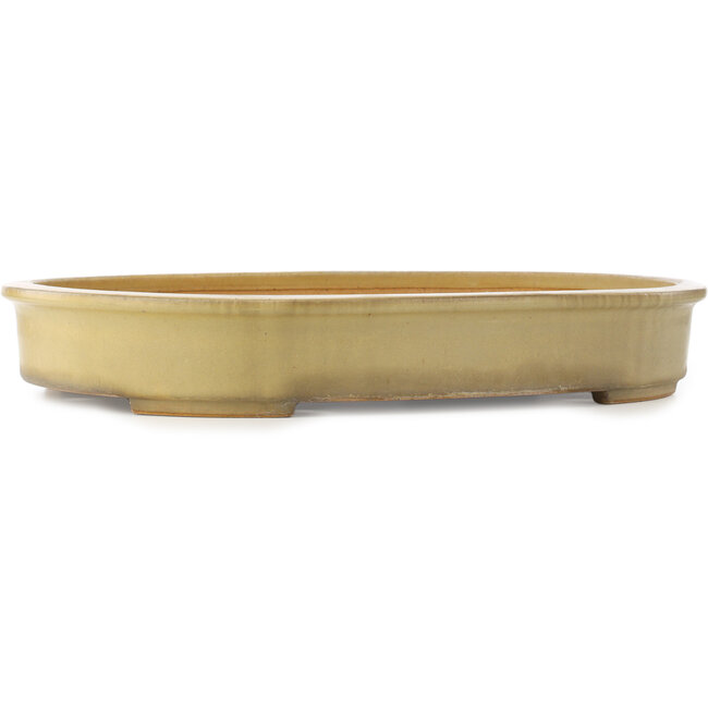 Vaso bonsai ovale beige di Reiho - 510 x 395 x 75 mm