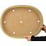 Maceta ovalada beige para bonsái de Reiho - 510 x 395 x 75 mm