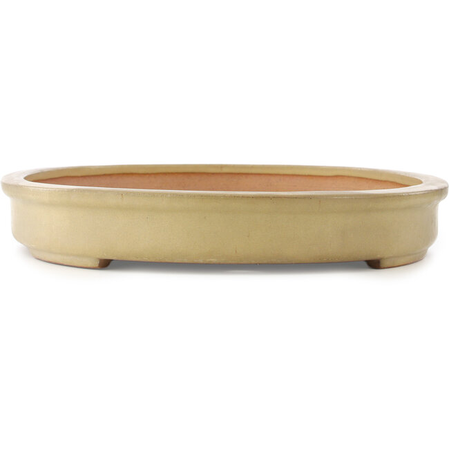 Oval beige bonsai pot by Reiho - 580 x 410 x 65 mm