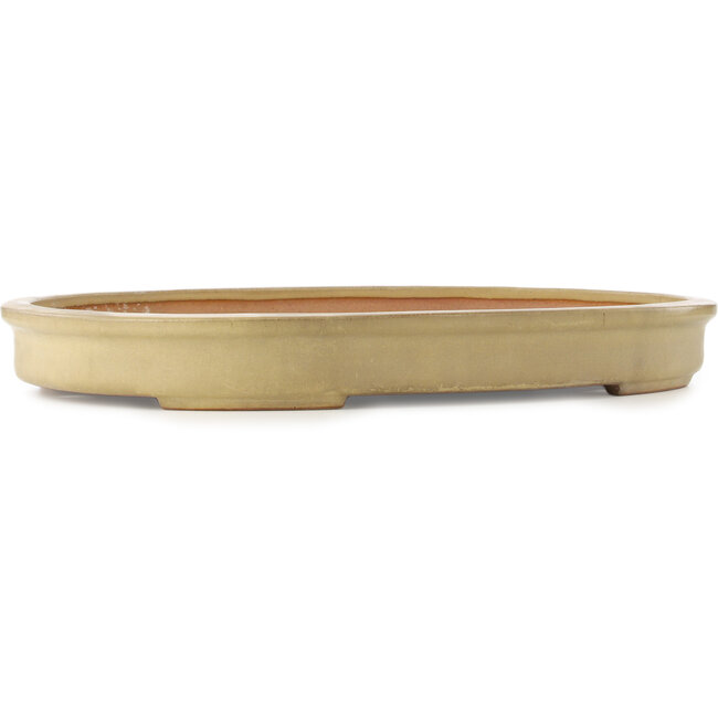 Maceta ovalada beige para bonsái de Reiho - 580 x 410 x 65 mm