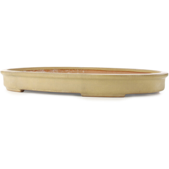 Vaso bonsai ovale beige di Reiho - 580 x 410 x 65 mm