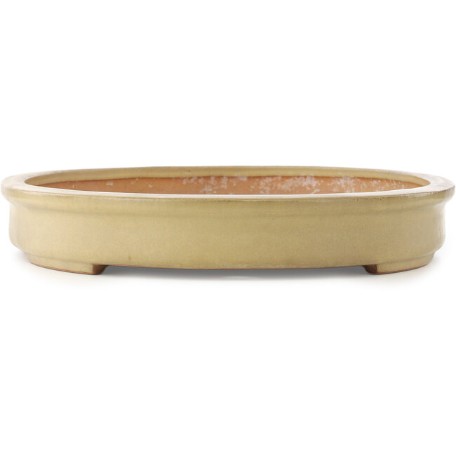 Vaso bonsai ovale beige di Reiho - 580 x 410 x 65 mm