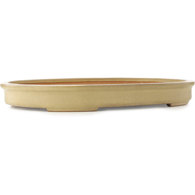 Oval beige bonsai pot by Reiho - 580 x 410 x 65 mm