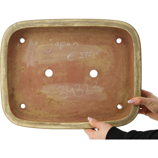 Rectangular beige bonsai pot - 410 x 320 x 70 mm