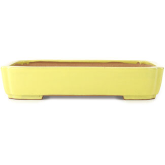  Yamafusa - Takehiko Koie Pot à bonsaï mokko jaune 310 mm par Yamafusa, Tokoname, Japon