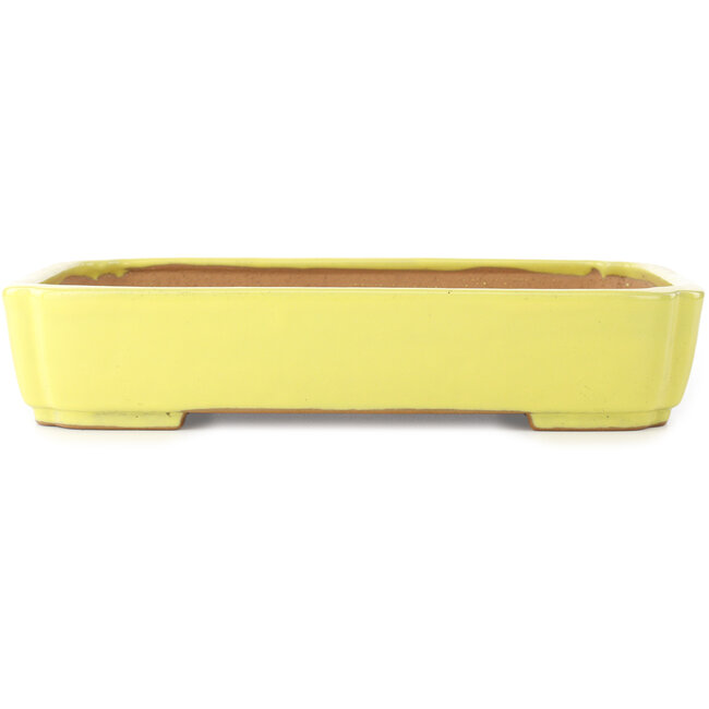 Pot à bonsaï jaune Mokko par Yamafusa - 310 x 235 x 55 mm