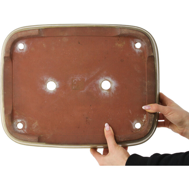 Pot à bonsaï rectangulaire beige - 410 x 320 x 70 mm