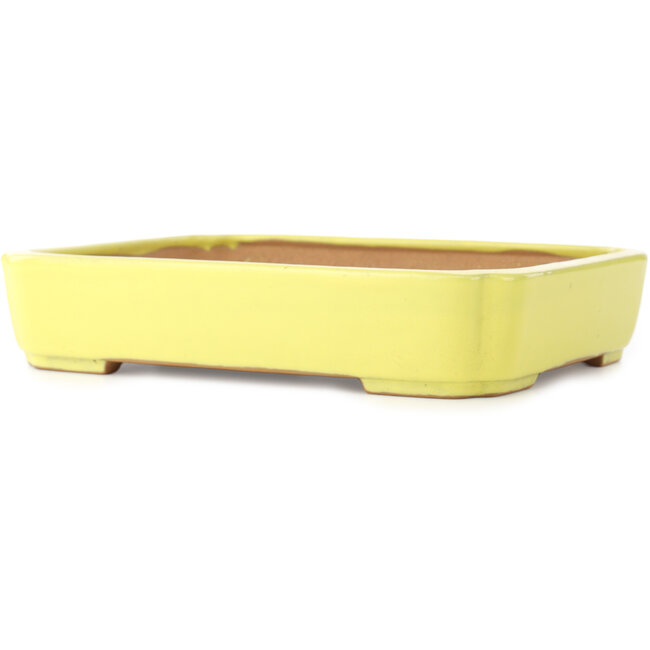 Vaso bonsai Mokko giallo di Yamafusa - 310 x 235 x 55 mm