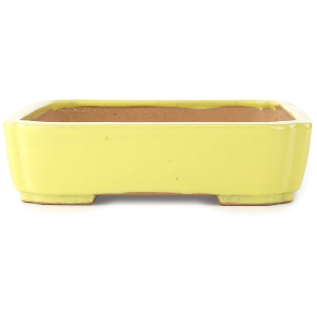 Mokko gelber Bonsaitopf von Yamafusa – 310 x 235 x 55 mm