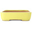 Pot à bonsaï jaune Mokko par Yamafusa - 310 x 235 x 55 mm