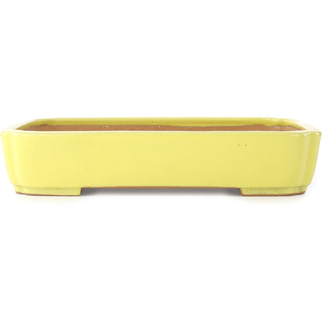 Mokko gele bonsaipot van Yamafusa - 310 x 235 x 55 mm