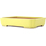 Pot à bonsaï jaune Mokko par Yamafusa - 310 x 235 x 55 mm
