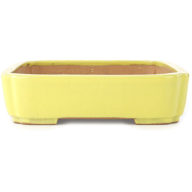 Mokko gelber Bonsaitopf von Yamafusa – 310 x 235 x 55 mm