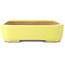 Pot à bonsaï jaune Mokko par Yamafusa - 310 x 235 x 55 mm