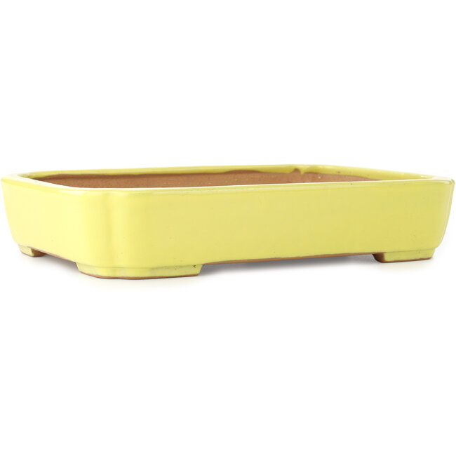 Pot à bonsaï jaune Mokko par Yamafusa - 310 x 235 x 55 mm