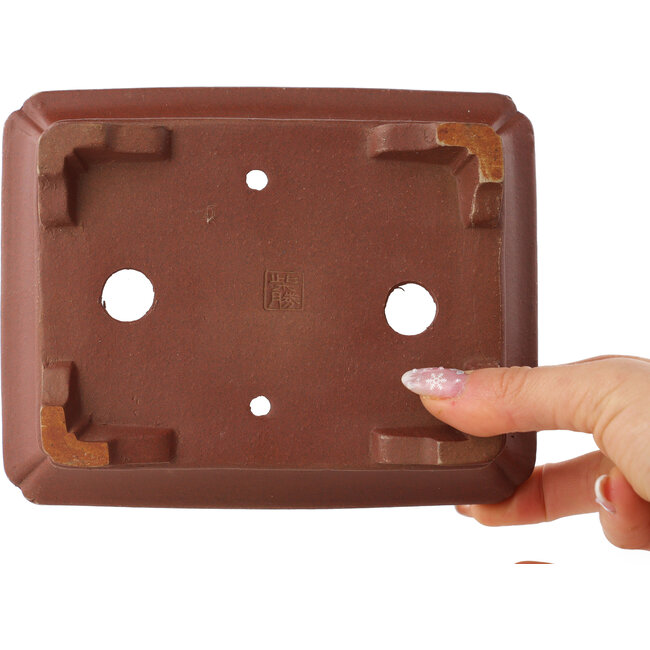 Maceta rectangular sin esmaltar para bonsái de Shibakatsu - 162 x 128 x 52 mm