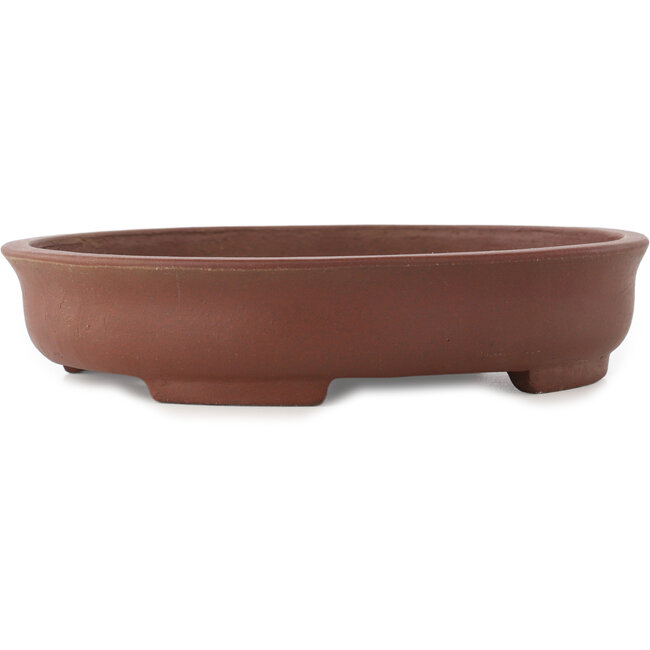 Pot à bonsaï ovale non émaillé de Shibakatsu - 205 x 180 x 45 mm