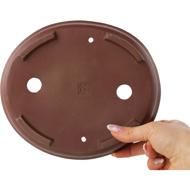 Maceta para bonsái ovalada sin esmaltar de Shibakatsu - 205 x 180 x 45 mm